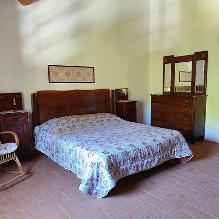 Casa Daria, Armonia Del Passato Nel Rispetto Della Natura Donoratico Eksteriør billede