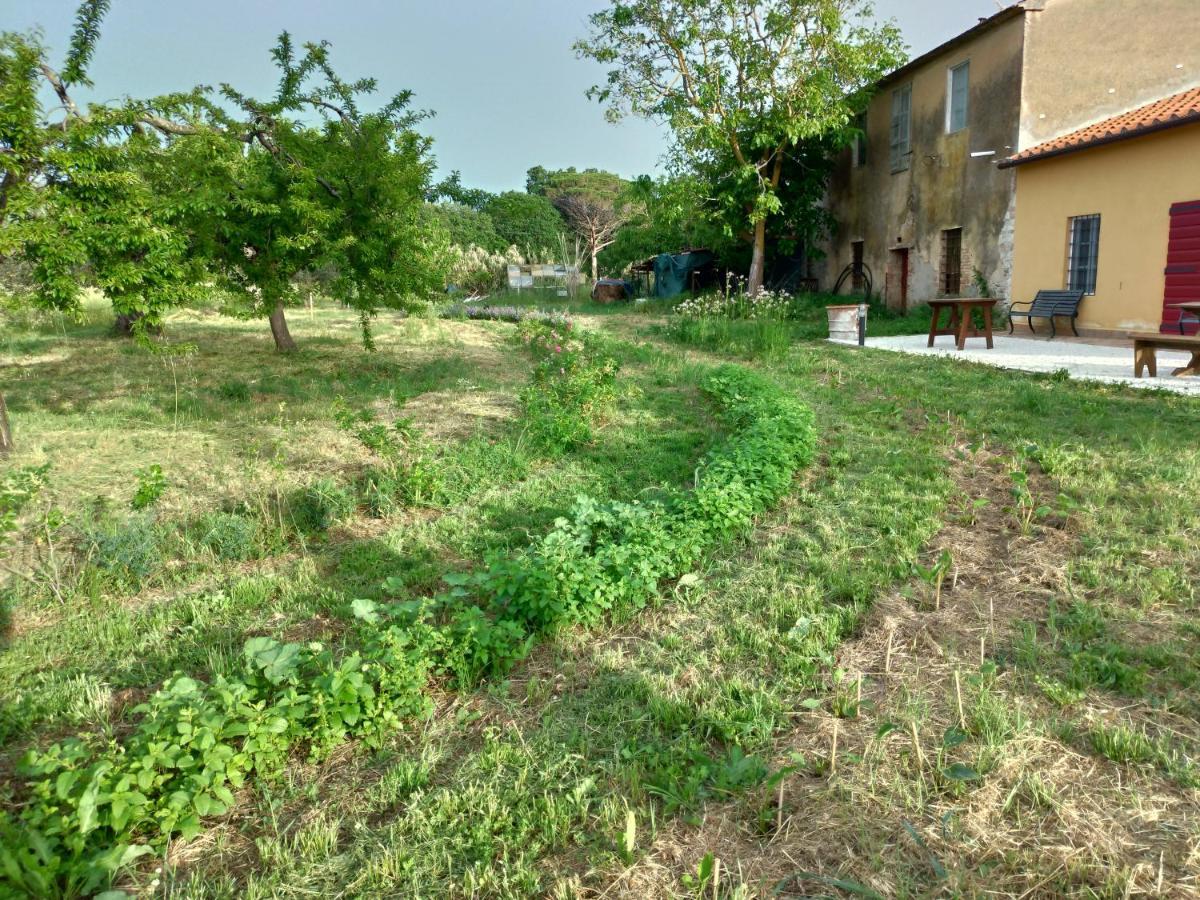 Casa Daria, Armonia Del Passato Nel Rispetto Della Natura Donoratico Eksteriør billede