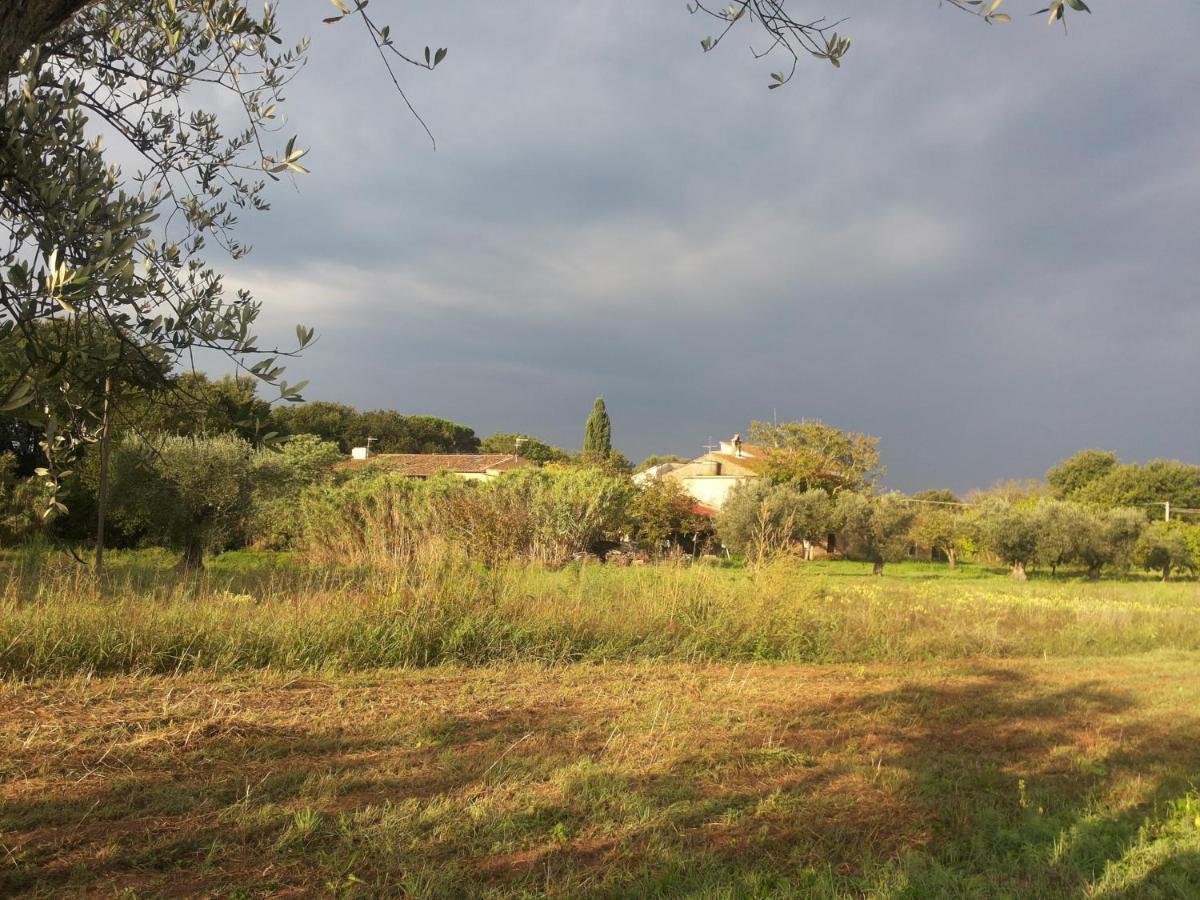 Casa Daria, Armonia Del Passato Nel Rispetto Della Natura Donoratico Eksteriør billede