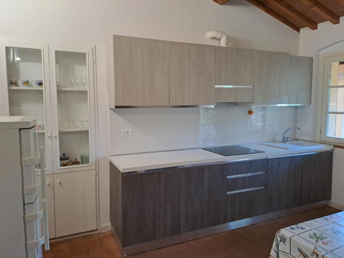 Casa Daria, Armonia Del Passato Nel Rispetto Della Natura Donoratico Eksteriør billede